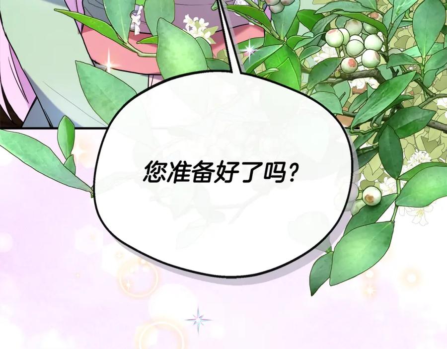 第238页