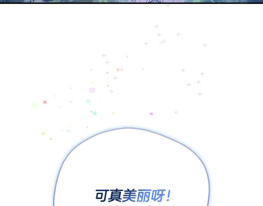 第224页