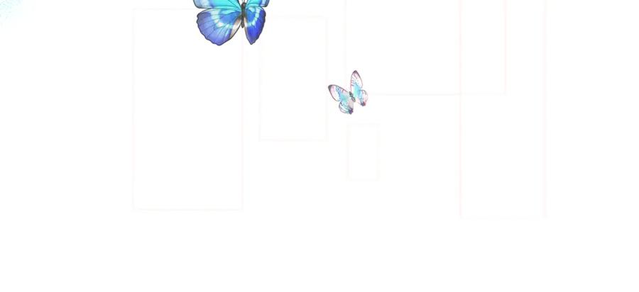 第219页