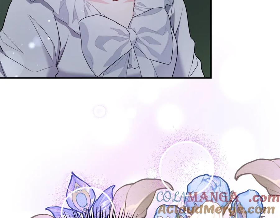 第205页