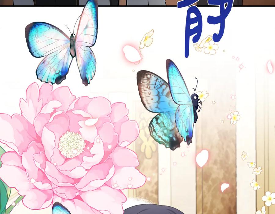 第214页