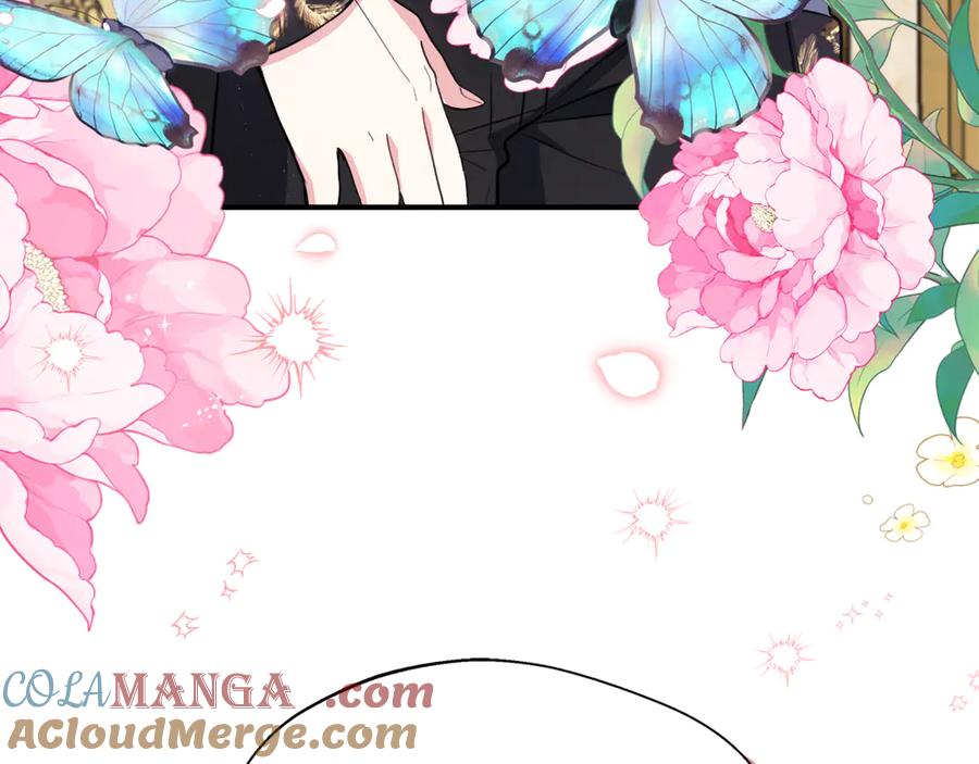第217页