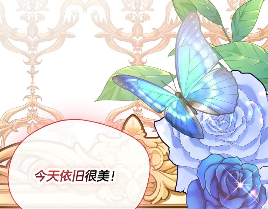 第217页