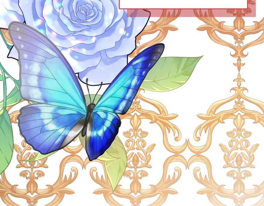第221页