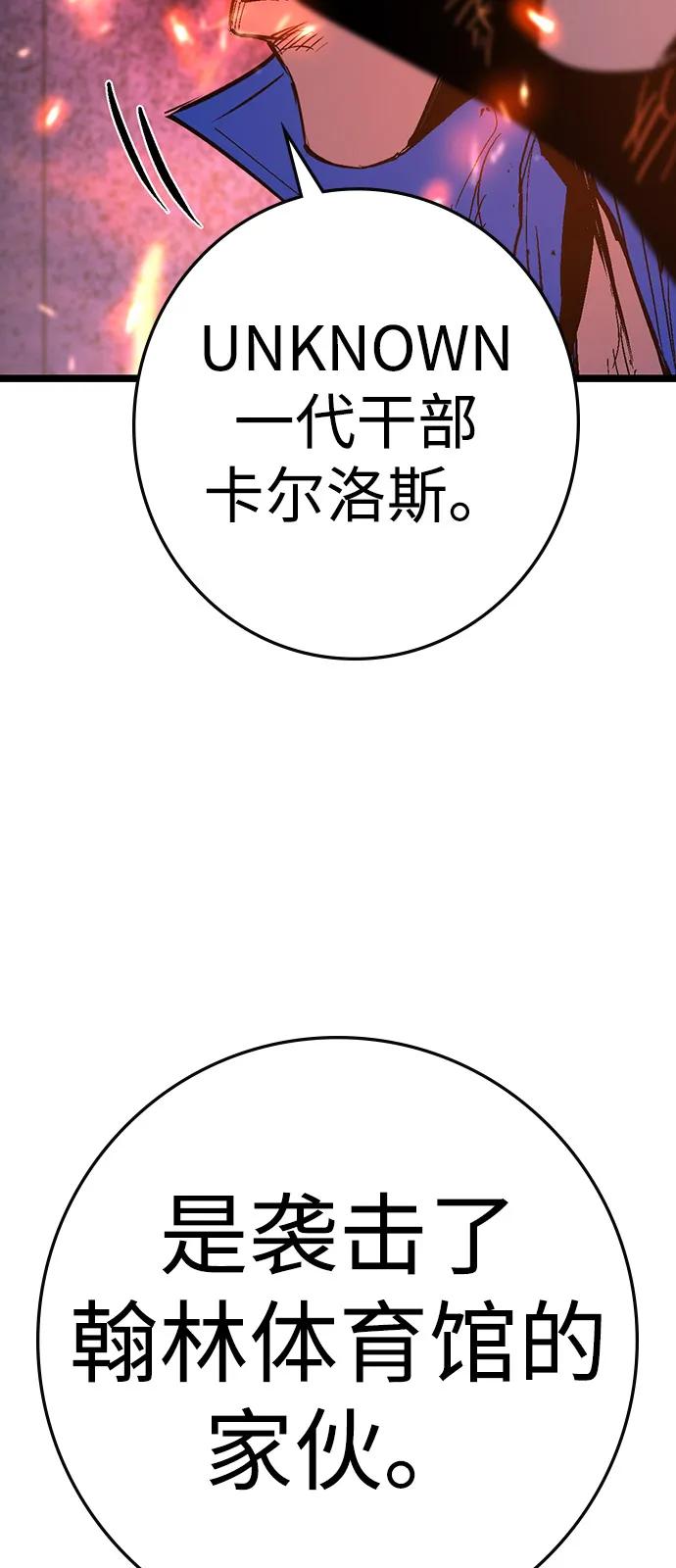 第223页