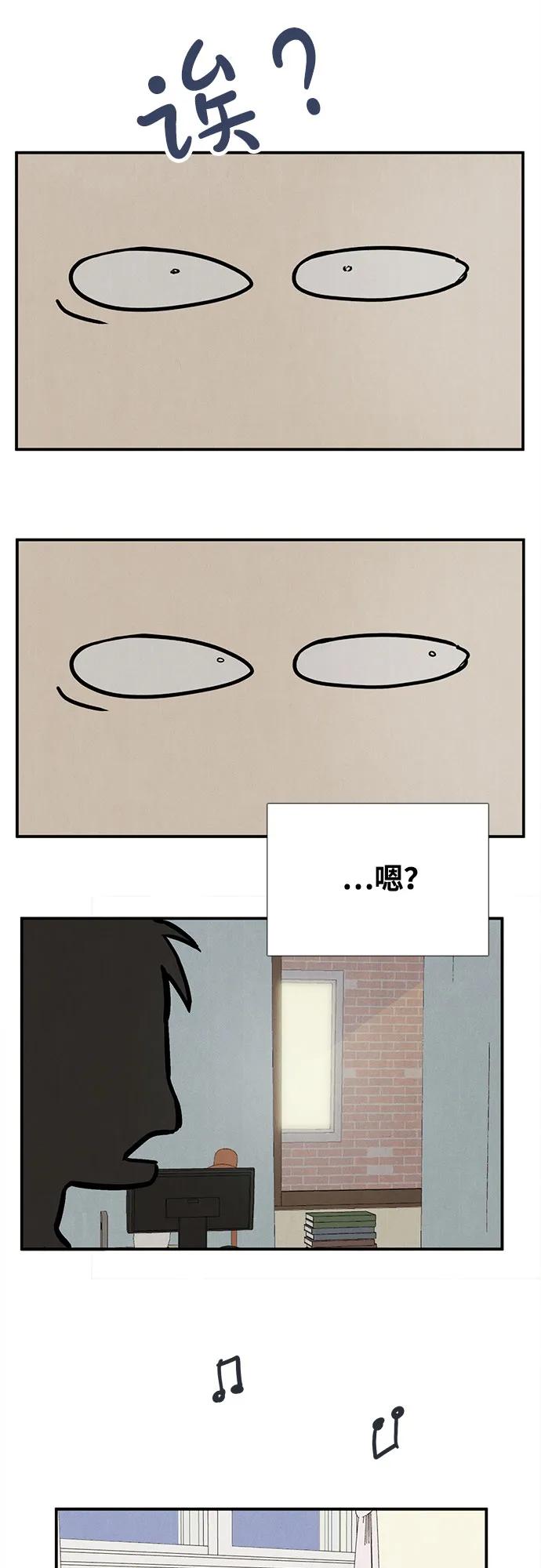 第204页