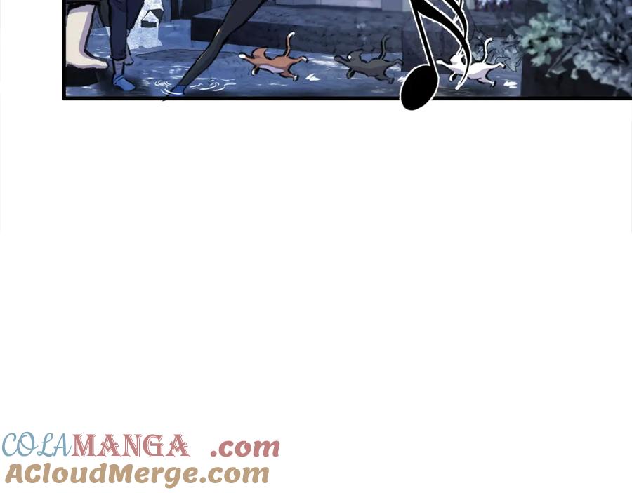 第205页