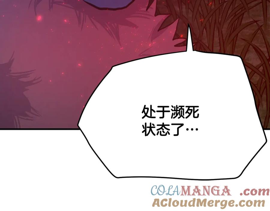 第233页