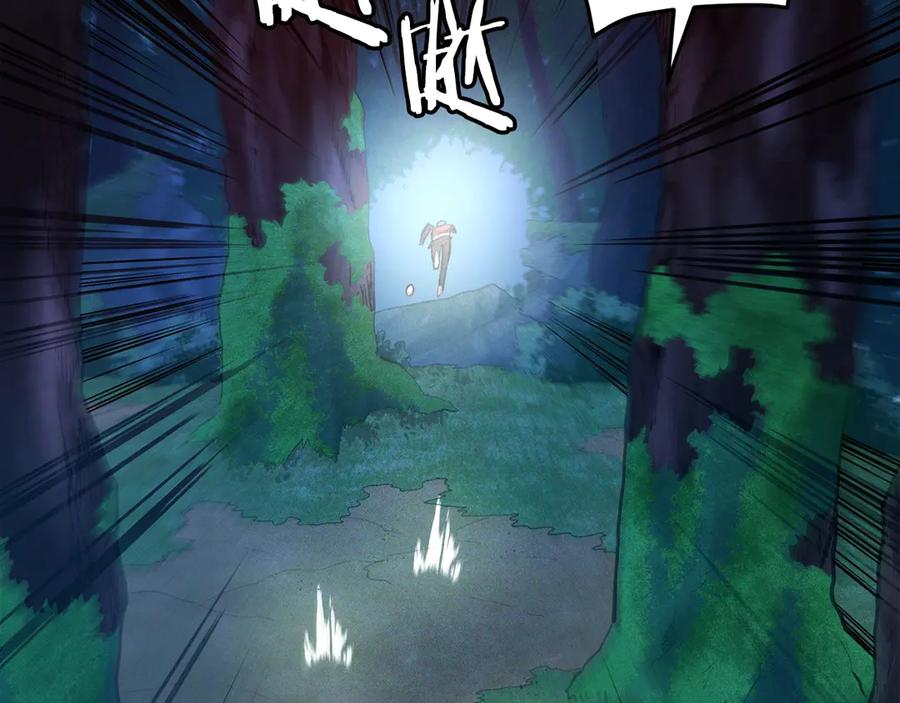 第204页