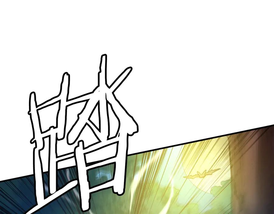 第224页