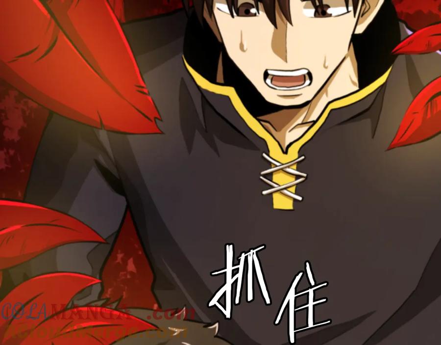 第193页