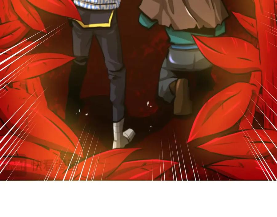 第204页