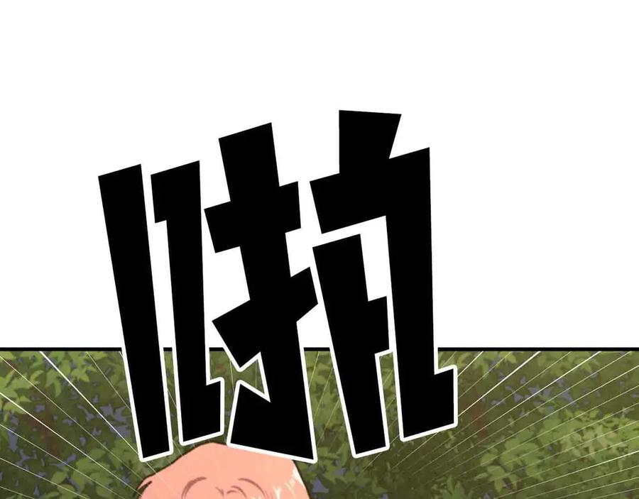 第206页