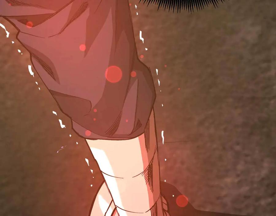 第215页