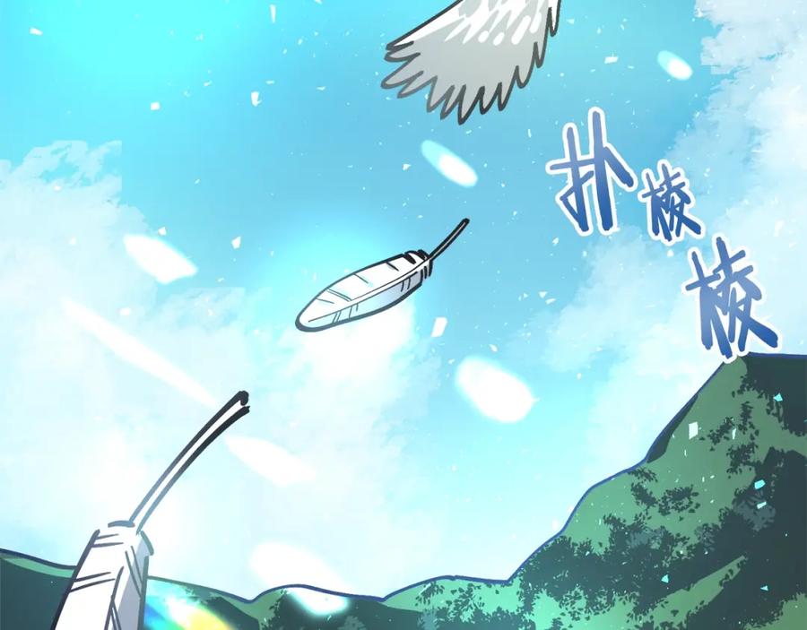 第223页