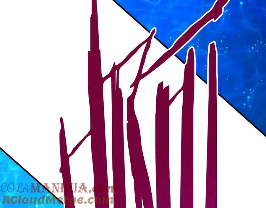 第205页
