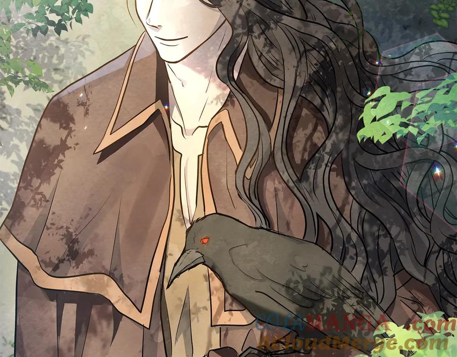 第217页