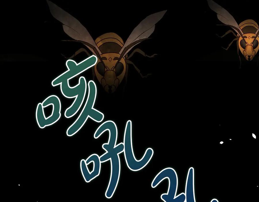 第240页