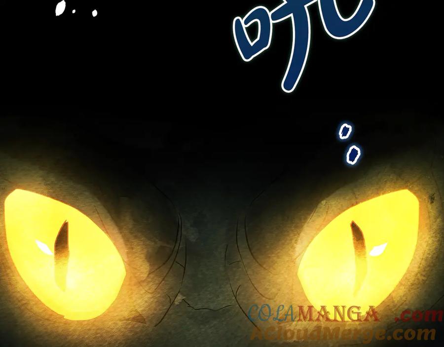 第241页