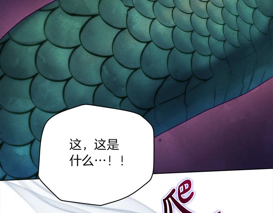 第215页
