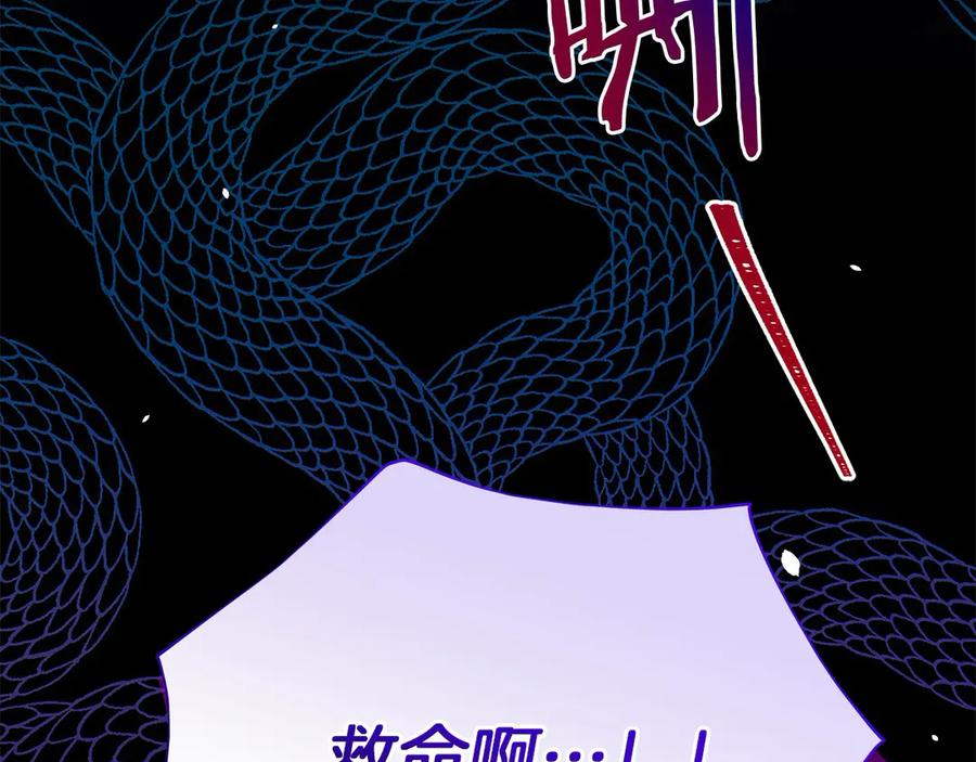 第224页