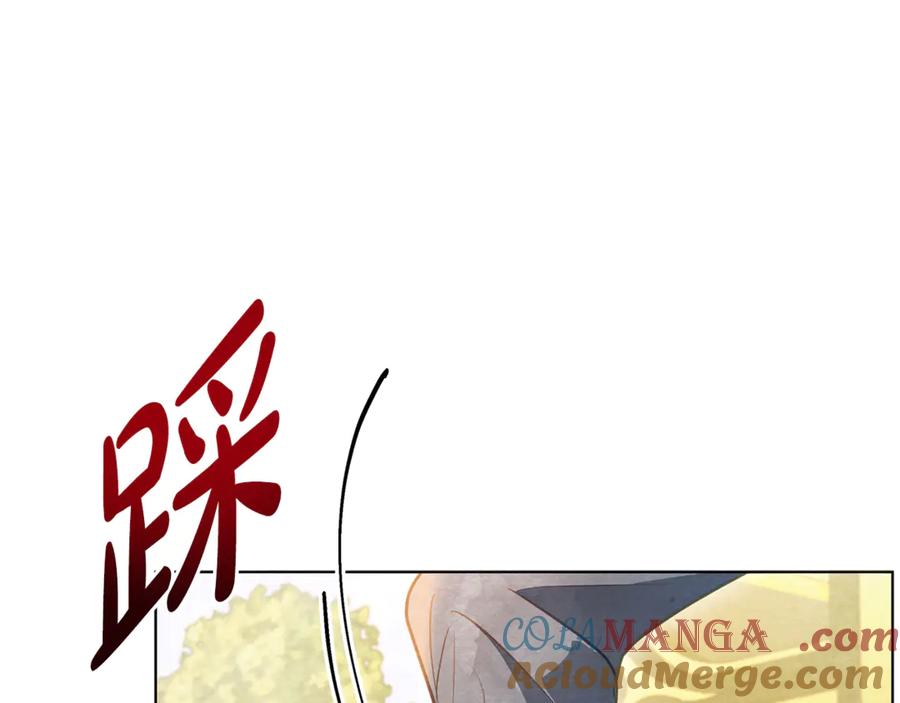 第233页