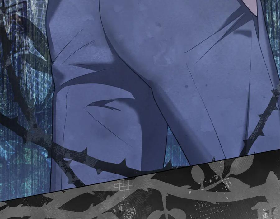 第243页