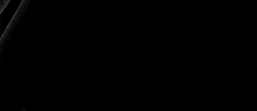 第231页