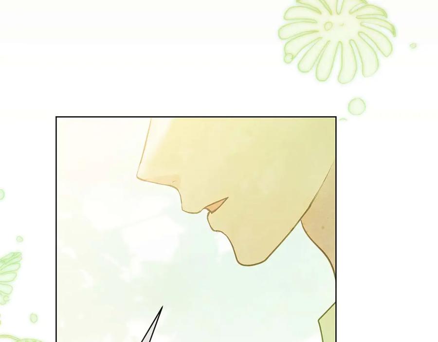 第215页