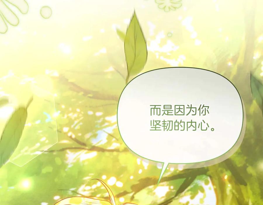 第217页