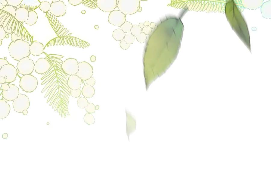 第221页