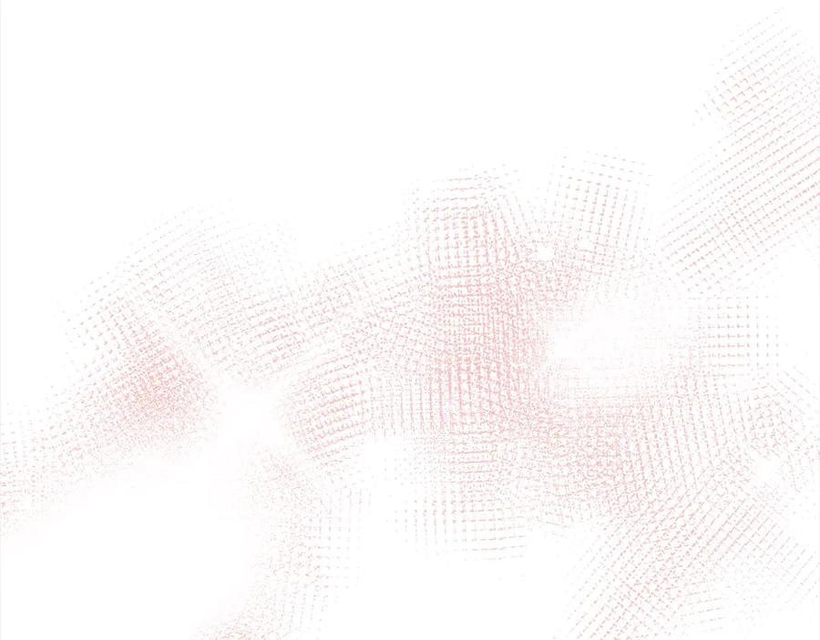 第224页