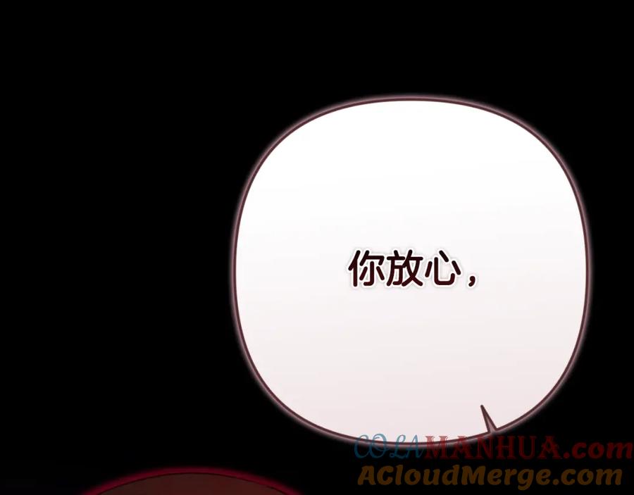 第221页
