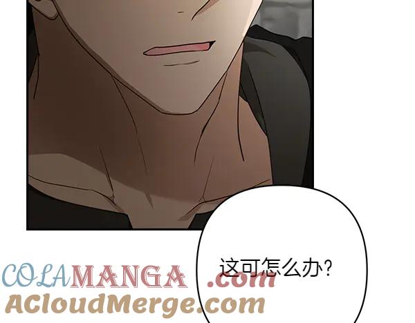 第181页