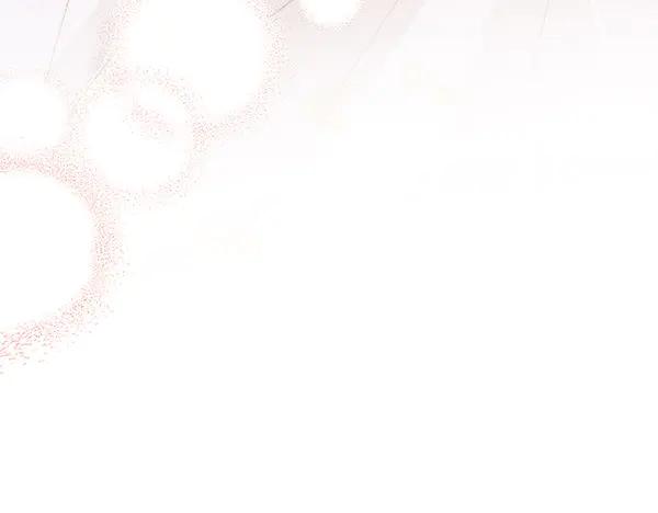 第204页
