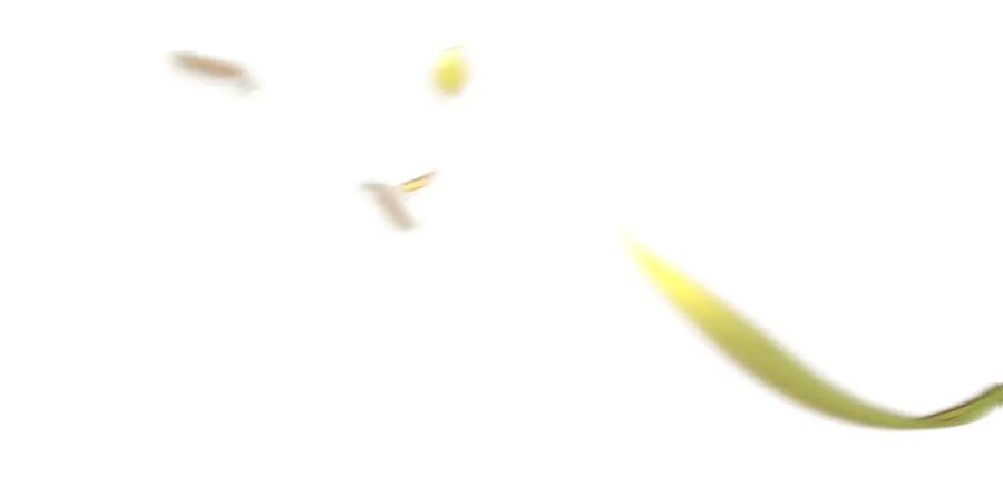 第196页