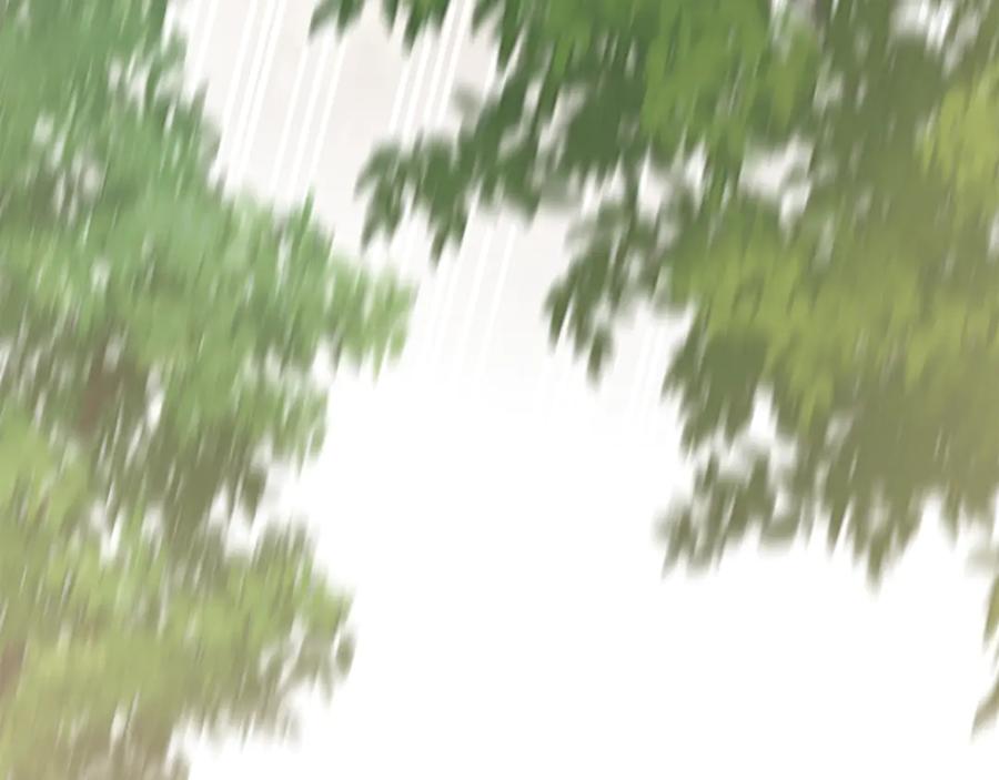第223页