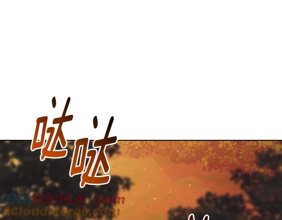 第249页