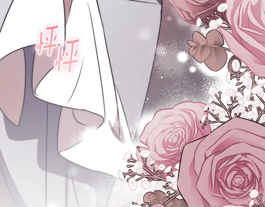 第260页