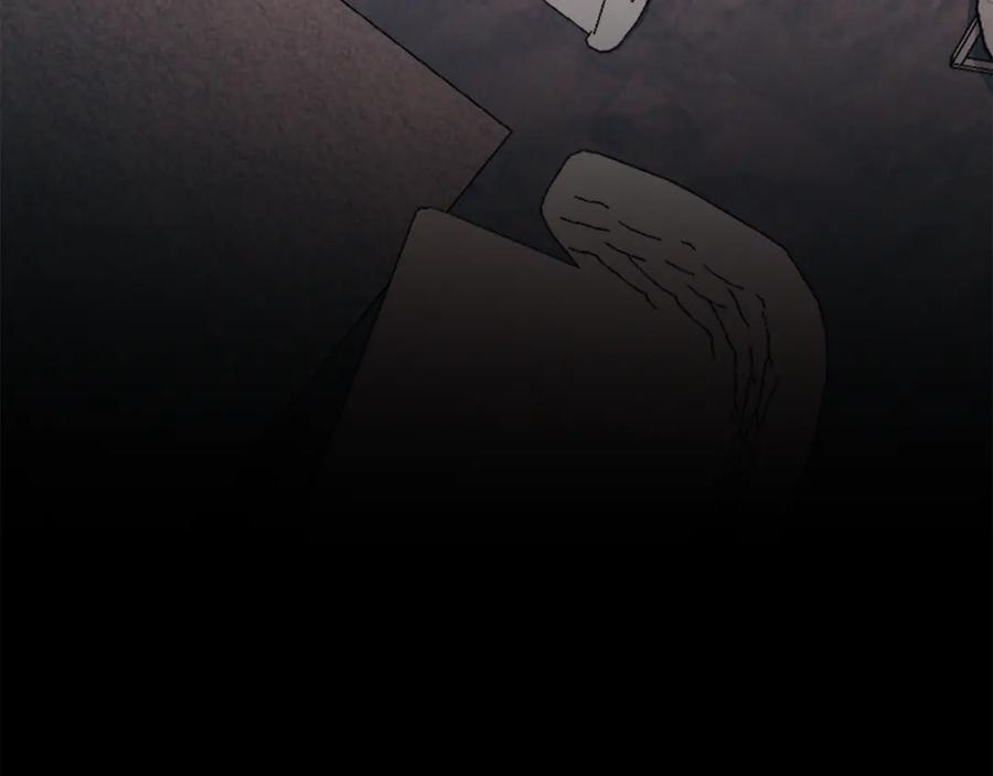 第260页