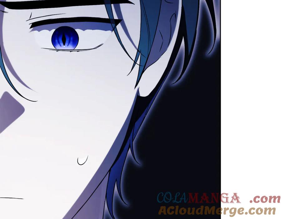 第241页