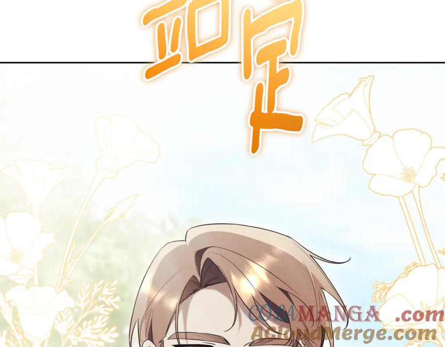 第221页