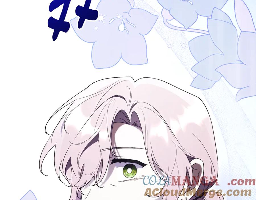 第233页
