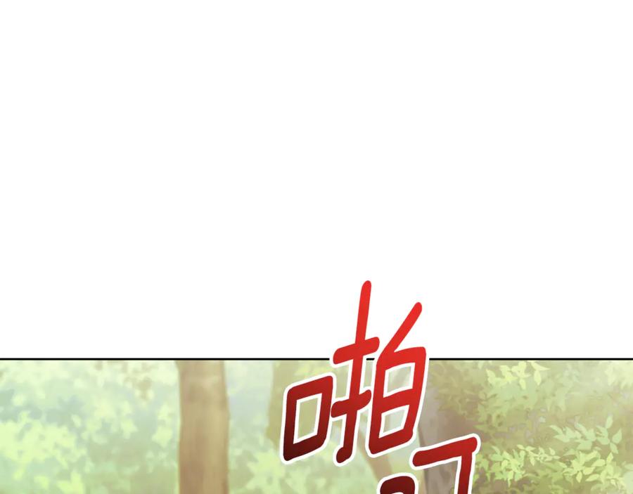 第223页