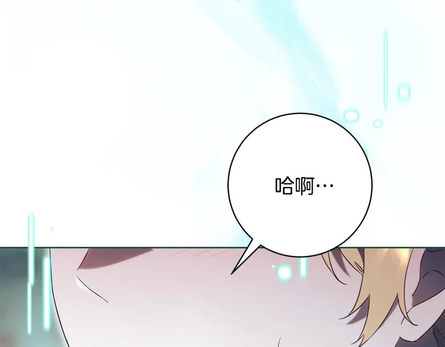 第242页