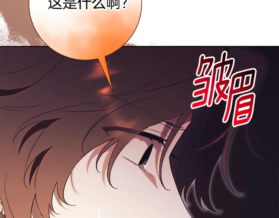 第246页
