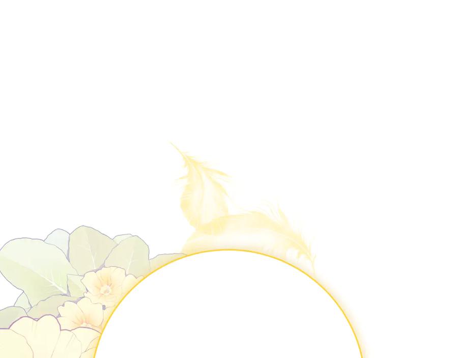 第236页