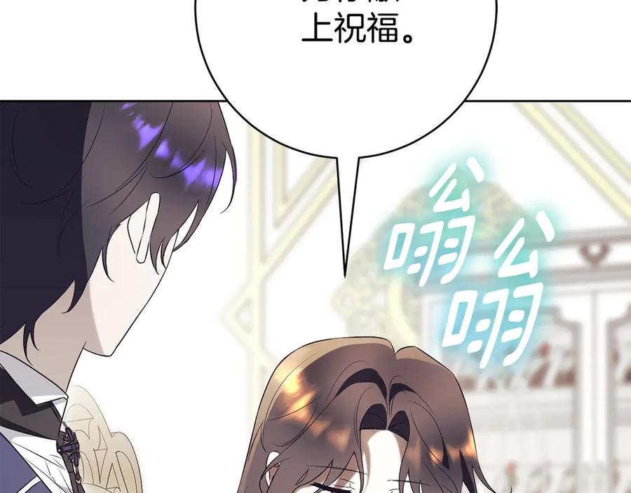 第246页