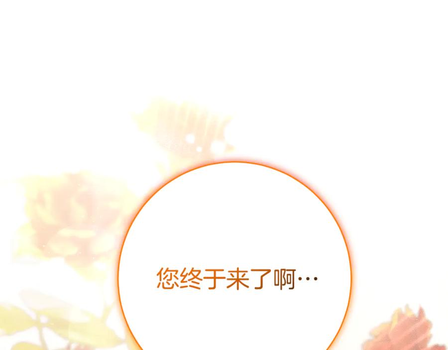 第266页