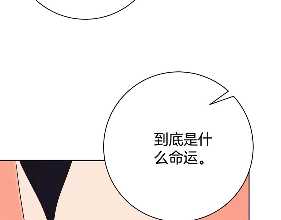 第282页